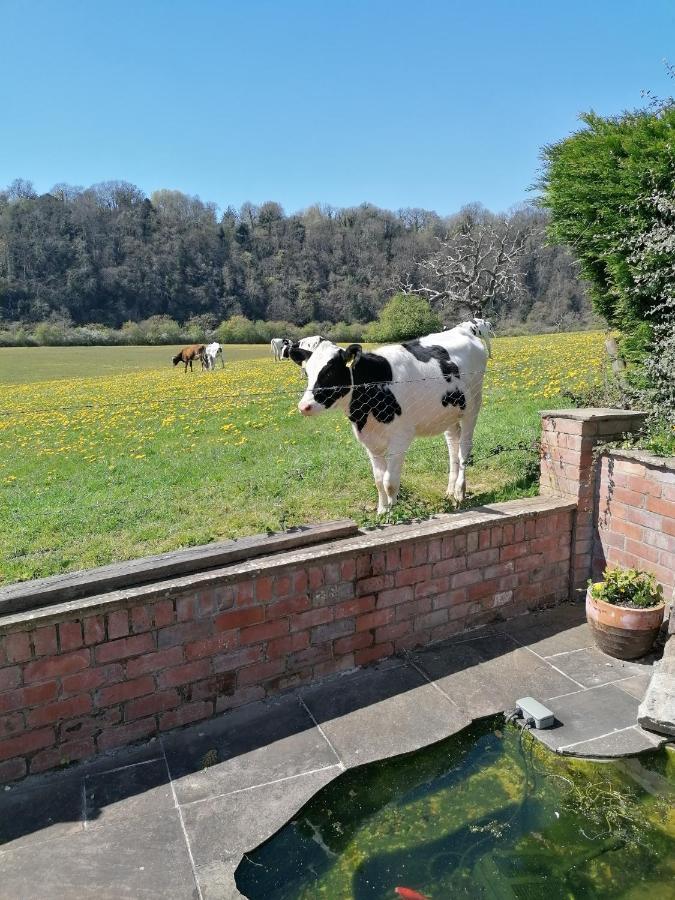 Riverside Daire Chepstow Dış mekan fotoğraf